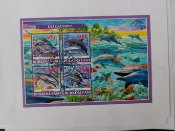 283 Dier, Dieren, Zeedier, Zeedieren, Dolfijn, Dolfijnen beschikbaar voor biedingen