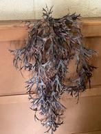 Mooie mica silica hertshoorn nieuw, Ophalen of Verzenden, Nieuw, Binnen