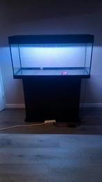 Aquarium Juwel Rio 180, Dieren en Toebehoren, Vissen | Aquaria en Toebehoren, Ophalen, Gebruikt, Leeg aquarium
