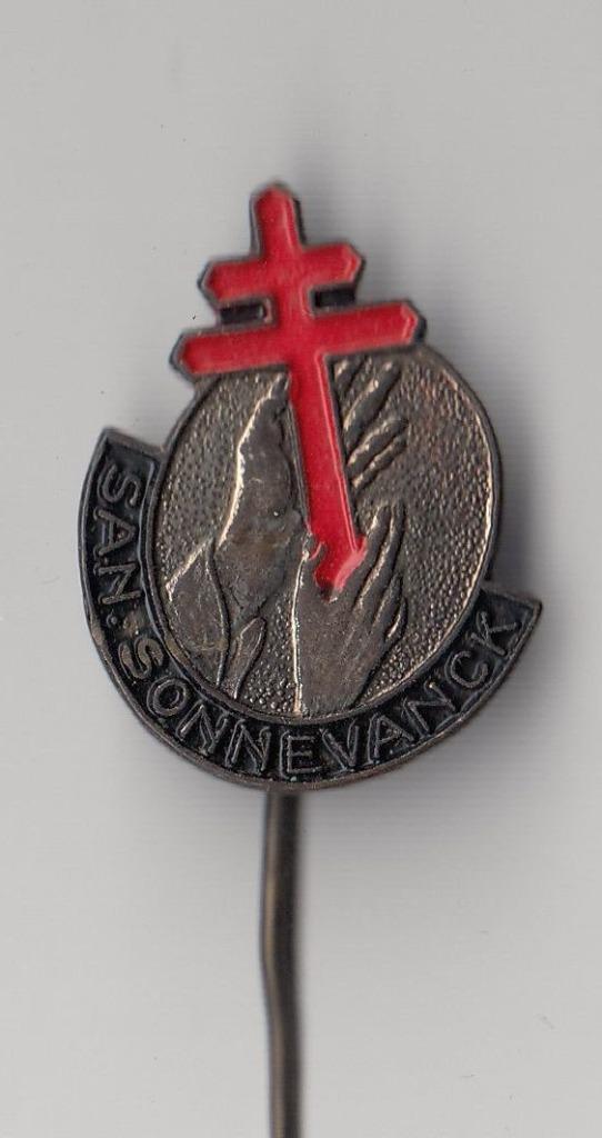 TBC Sanatorium Sonnevanck speldje, Verzamelen, Speldjes, Pins en Buttons, Gebruikt, Speldje of Pin, Overige onderwerpen, Ophalen of Verzenden