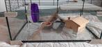 Hamster/cavia kooi met glas, Kooi, Minder dan 60 cm, Hamster, Zo goed als nieuw