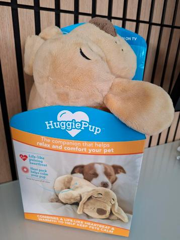Huggie pup beschikbaar voor biedingen