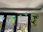 Gratis Dino Versiering, Ophalen, Zo goed als nieuw, Versiering, Verjaardag
