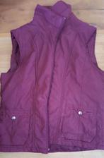 Bodywarmer paars, maat 42, Kingfield, Kleding | Dames, Bodywarmers, Maat 42/44 (L), Ophalen of Verzenden, Zo goed als nieuw, Paars