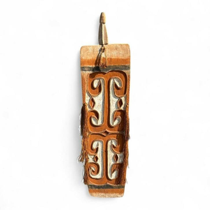 Asmat schild, Antiek en Kunst, Kunst | Niet-Westerse kunst, Ophalen of Verzenden