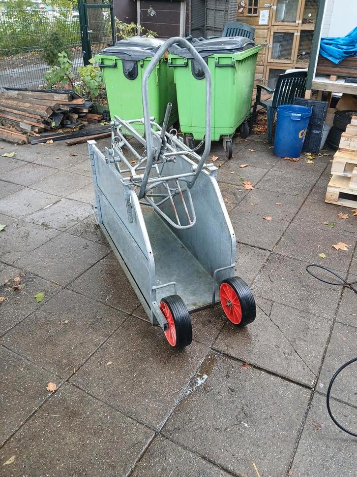 Bekapbox schapen, Dieren en Toebehoren, Schapen, Geiten en Varkens