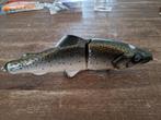 Esox Inc Trout Swimbait, Watersport en Boten, Hengelsport | Roofvissen, Ophalen of Verzenden, Zo goed als nieuw, Complete set