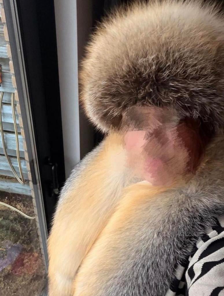 Saga Fur Vossen Sjaal & Muts Set - Zo Goed Als Nieuw, Ophalen of Verzenden, Zo goed als nieuw, One size fits all, Hoed