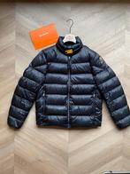 Parajumper jas Dillon maat L origineel, Kleding | Heren, Jassen | Winter, Ophalen of Verzenden, Nieuw, Maat 52/54 (L), Parajumpers
