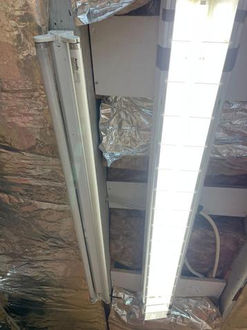 vogellamp Arcadia met zo goed als NIEUWE TL birdlamps ! beschikbaar voor biedingen