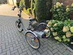 Van Raam Maxi - Elektrische Driewielfiets, Ophalen of Verzenden, Zo goed als nieuw, Van Raam