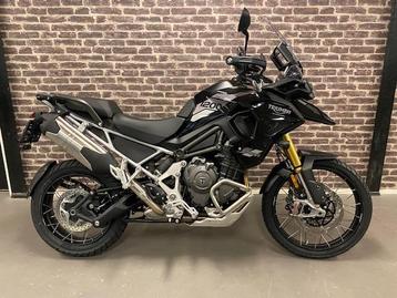 Triumph TIGER 1200 RALLY PRO (bj 2025) beschikbaar voor biedingen