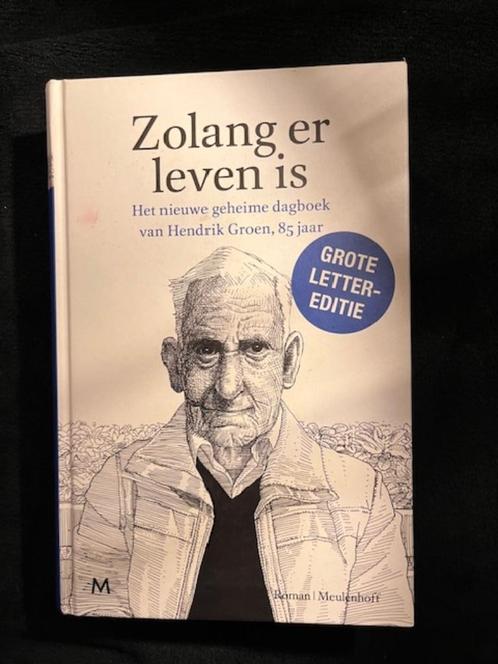 Hendrik Groen Zolang er leven is Hardcover Grote letters, Boeken, Romans, Zo goed als nieuw, Nederland, Ophalen of Verzenden