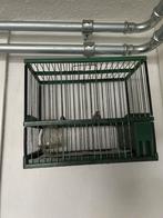 Spanse kooi, Ophalen of Verzenden, Zo goed als nieuw, Metaal, Vogelkooi