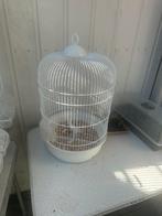 Vogel kooi, Dieren en Toebehoren, Vogels | Hokken en Kooien, Ophalen of Verzenden, Gebruikt, Overige materialen, Vogelkooi