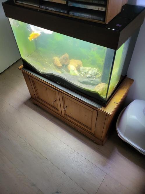 compleet juwel 80x40x40cm aquarium van juwel te koop, Dieren en Toebehoren, Vissen | Aquaria en Toebehoren, Gebruikt, Gevuld zoetwateraquarium
