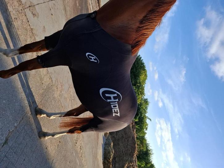 Hiddez compressie pak, Dieren en Toebehoren, Paarden en Pony's | Dekens en Dekjes, Nieuw, Deken, Ophalen of Verzenden