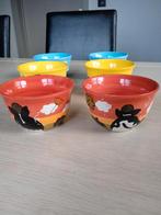 6 Handgeschilderde Ben & Jerry's kommetjes, Keramiek, Ophalen of Verzenden, Zo goed als nieuw, Kom(men)