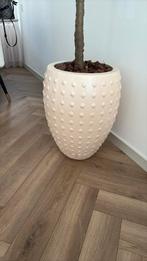 Vaas, Tuin en Terras, Bloembakken en Plantenbakken, Steen, Minder dan 60 cm, Rond, Ophalen of Verzenden