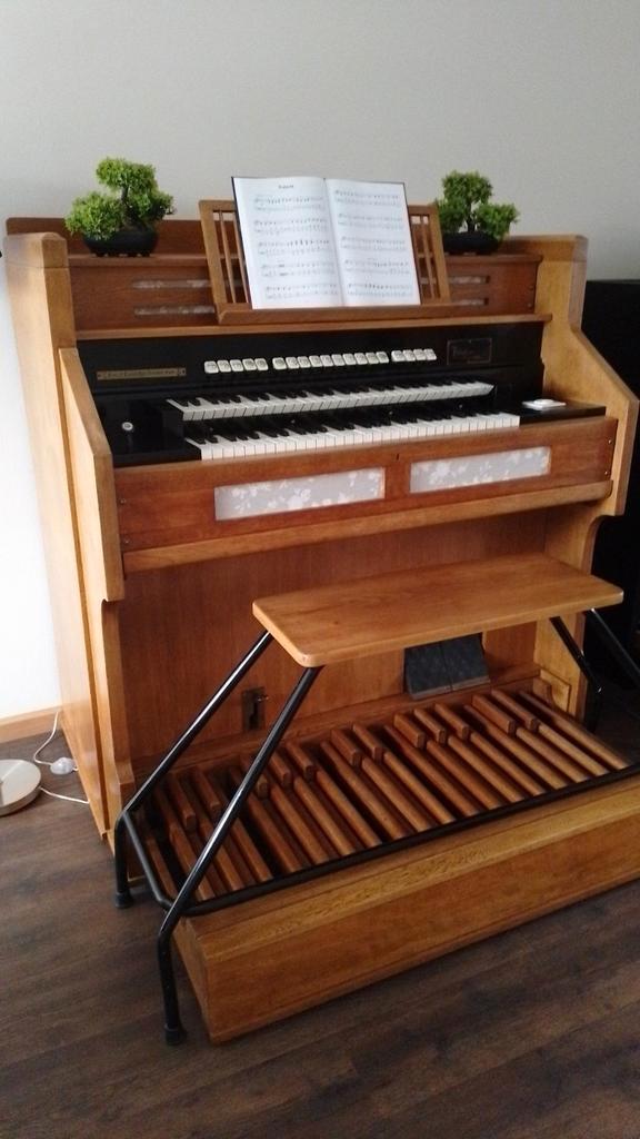 Gerestaureerd Pedalion pedaalharmonium 10 spel, Muziek en Instrumenten, Orgels, Gebruikt, Harmonium, 2 klavieren, Ophalen