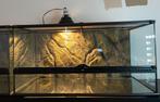 Exo Terra Terrarium, Ophalen, Zo goed als nieuw, Terrarium of Paludarium