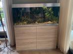 Oase Highline 300 liter compleet aquarium, Dieren en Toebehoren, Ophalen, Zo goed als nieuw, Gevuld zoetwateraquarium