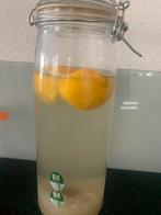 Bio Waterkefir korrels, Diversen, Levensmiddelen, Ophalen