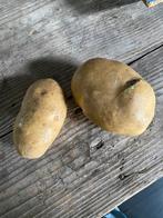 Oud lesmateriaal (1), Antiek en Kunst, Curiosa en Brocante, Ophalen of Verzenden