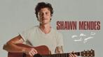 Fan project amsterdam shawn mendes !, Eén persoon