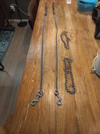 Hondenriem met halsband te koop, Dieren en Toebehoren, Ophalen of Verzenden, Zo goed als nieuw, Hondenriem-accessoire