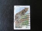 Kenia cheetah 1, Ophalen of Verzenden, Overige landen, Gestempeld