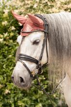 TiCi Oornetje Flourish Deluxe, Dieren en Toebehoren, Verzenden, Nieuw, Overige soorten