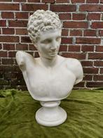 Klassiek borstbeeld van een Griekse/Romeinse man., Ophalen of Verzenden