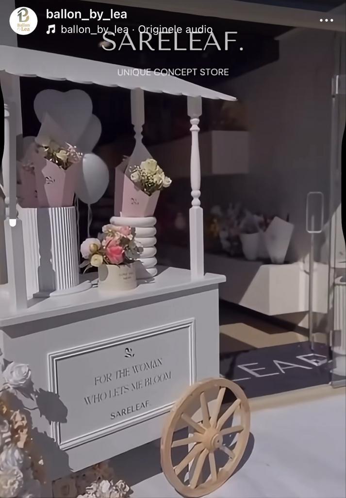 Candycat te huur, Hobby en Vrije tijd, Feestartikelen | Verhuur, Zo goed als nieuw, Ophalen of Verzenden