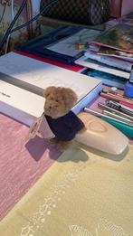 Sleutel hanger, Verzamelen, Sleutelhangers, Verzenden