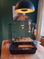 Vogelkooi, Dieren en Toebehoren, Ophalen, Zo goed als nieuw, Metaal, Vogelkooi