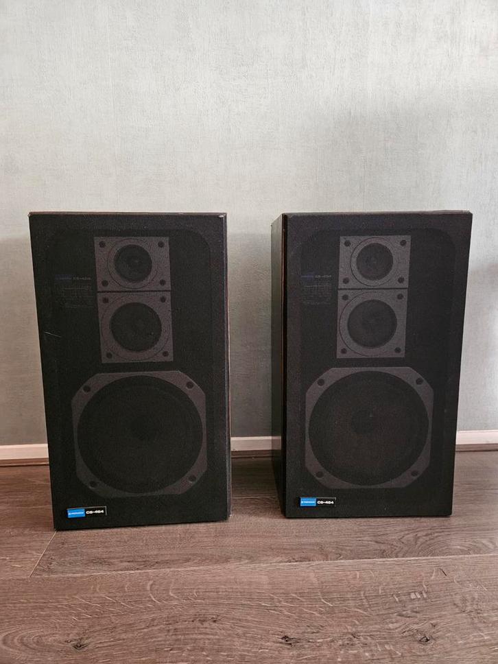 Pioneer CS-454 luidsprekers, Audio, Tv en Foto, Luidsprekers, Gebruikt, Front, Rear of Stereo speakers, Overige merken, Ophalen