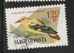 Hongarije 1961 - Vogel - Gouden Wielewaal, Ophalen of Verzenden, Gestempeld