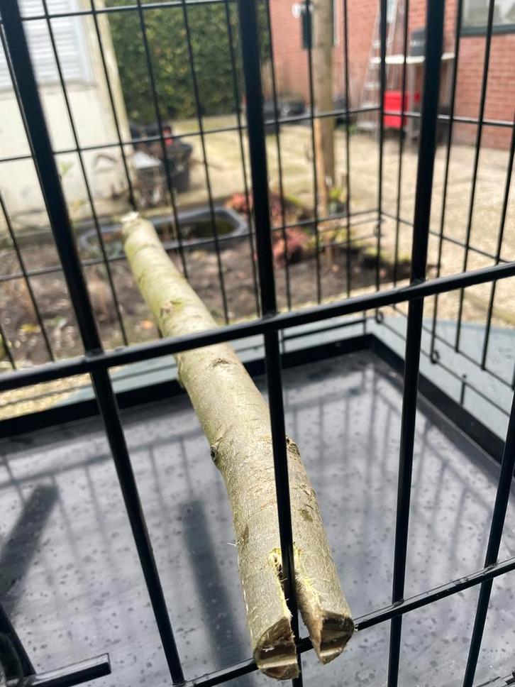 1 zwarte Papagaaien bench of Transport kooi, Dieren en Toebehoren, Vogels | Hokken en Kooien, Nieuw, Vogelkooi, Metaal, Ophalen