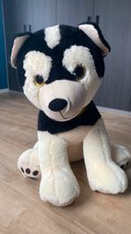 Grote walibi hond, Ophalen, Zo goed als nieuw, Hond