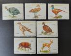 Cuba 1970 Vogels Dieren Michel 1629-1635 postfris, Verzenden, Postfris, Dier of Natuur