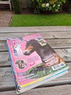 Penny, Ophalen of Verzenden, Gelezen, Overige typen