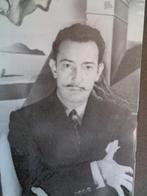 It’s all Dalí. Film, fashion, photography, design, painting., Ophalen of Verzenden, Gelezen, Overige onderwerpen