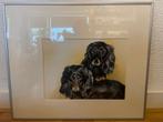 Aquarel teckels van Bep Que, Antiek en Kunst, Ophalen