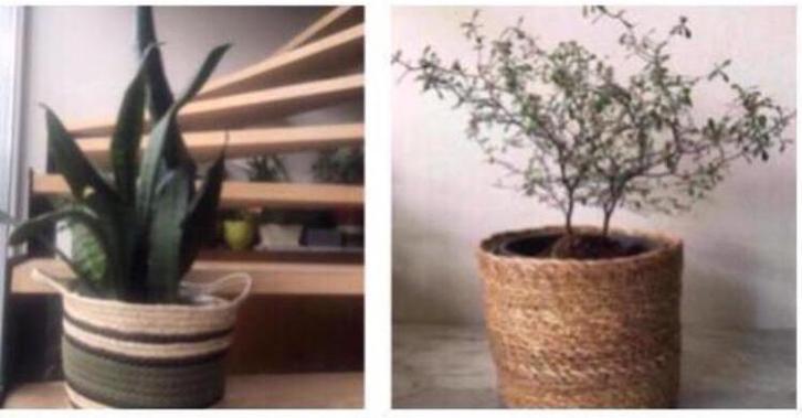 Vintage jaren ‘60 grasmand handwerk bio kamerplanten, Tuin en Terras, Bloempotten, Zo goed als nieuw, Overige materialen, Binnen