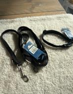 Honden dressuurlijn set 200 cm + nylon halsband 30-45 cm, Ophalen of Verzenden, Nieuw