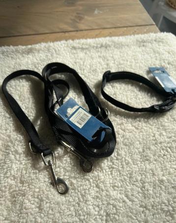 Honden dressuurlijn set 200 cm + nylon halsband 30-45 cm beschikbaar voor biedingen
