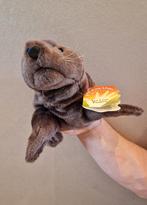 Folkmanis Handpop baby Zeeleeuw - Nieuw!, Ophalen of Verzenden, Nieuw, Overige typen