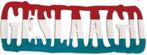 Opblaasletters geslaagd te koop, Info@all4funbaarlo.nl, Nieuw, Ophalen of Verzenden, A