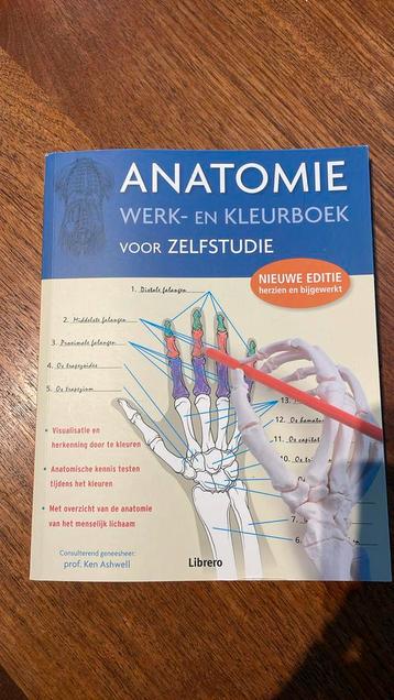Anatomie - werk- en kleurboek voor zelfstudie beschikbaar voor biedingen